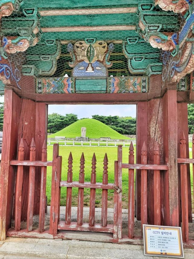 돌담길 능소화가 분위기 있는 김수로왕릉🧡