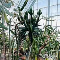 八丈植物公園：自然之美、科學教育和遊樂體驗於一體的綠色寶庫