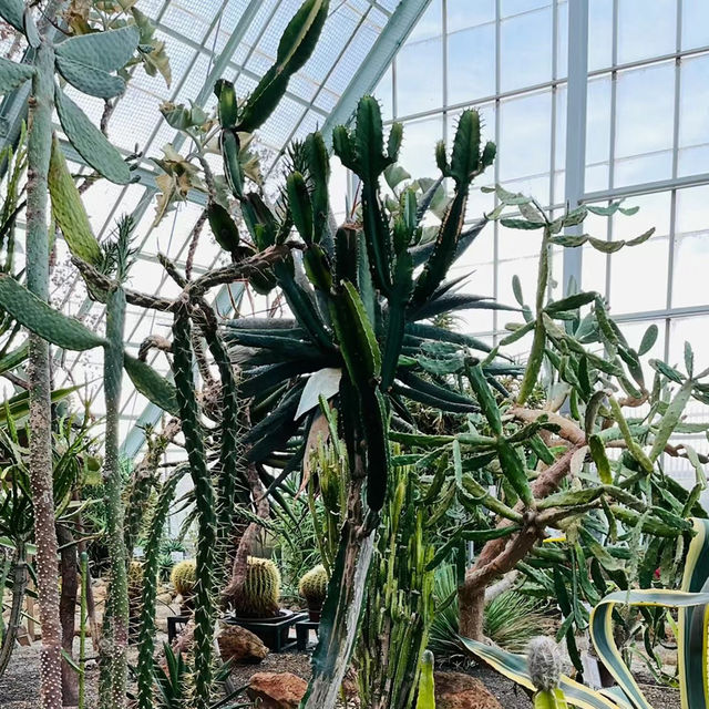 八丈植物公園：自然之美、科學教育和遊樂體驗於一體的綠色寶庫