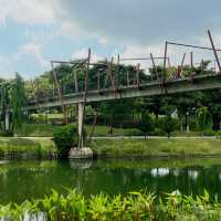 Unwind and Unplug: Punggol Park Connector's Nature Escape