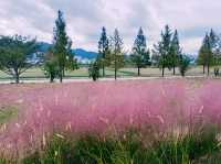 Daejeo Ecological Park