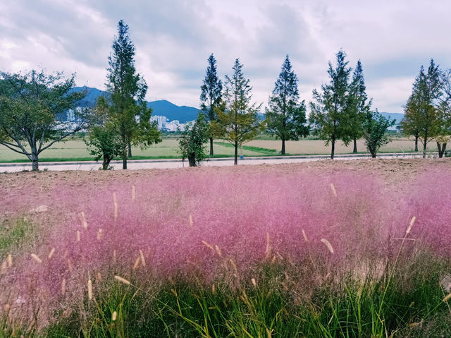 Daejeo Ecological Park