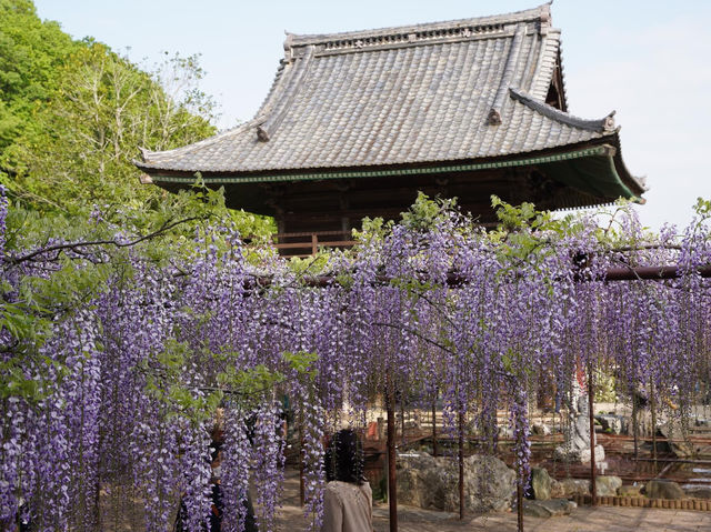 Chosenji Temple