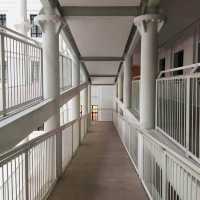 新加坡藝術博物館：獨特建築，必游景點