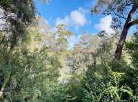 Beedelup Falls