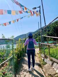【大嶼山】愉景灣：探索悠閒時光的郊遊之旅