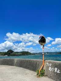 【千葉】エモい夏スポット🏖☀️離島で磯遊び