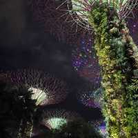 Gardens by the Bay Supertree Grove
