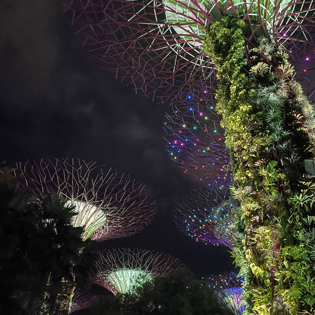 Gardens by the Bay Supertree Grove