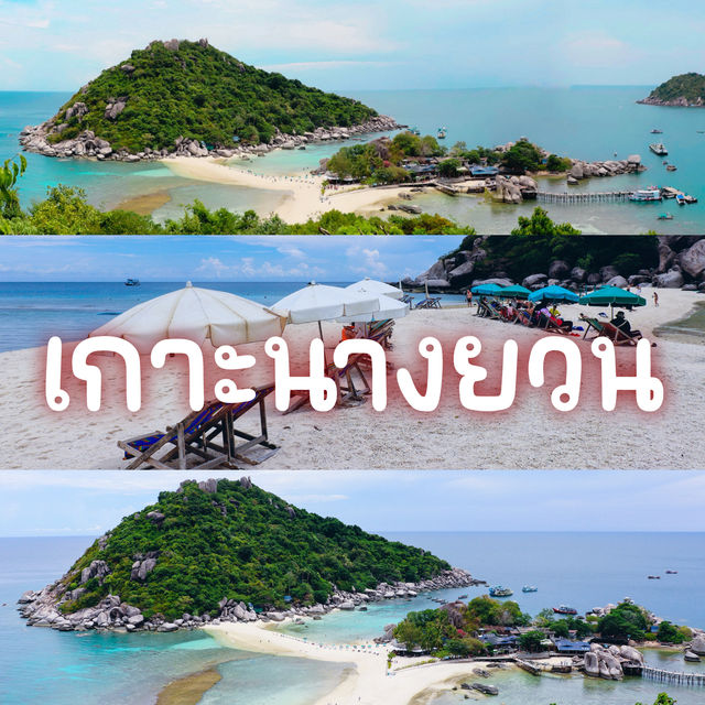 เกาะนางยวน