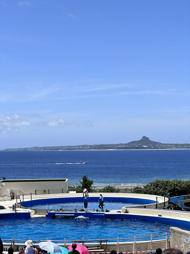 5月中的沖繩美麗海