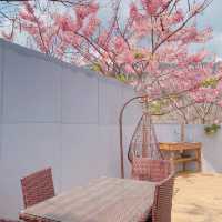 寶來花賞溫泉公園賞花