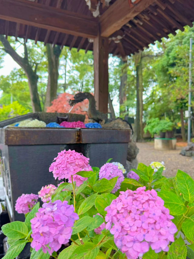 【群馬】戌・亥年の方に行ってほしい!!御朱印がかわいい🤍紫陽花見頃なパワスポ✨