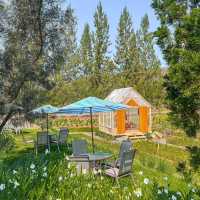 🏔 SOL Glamping Khaoyai พาร่างกายไปฮิลใจ