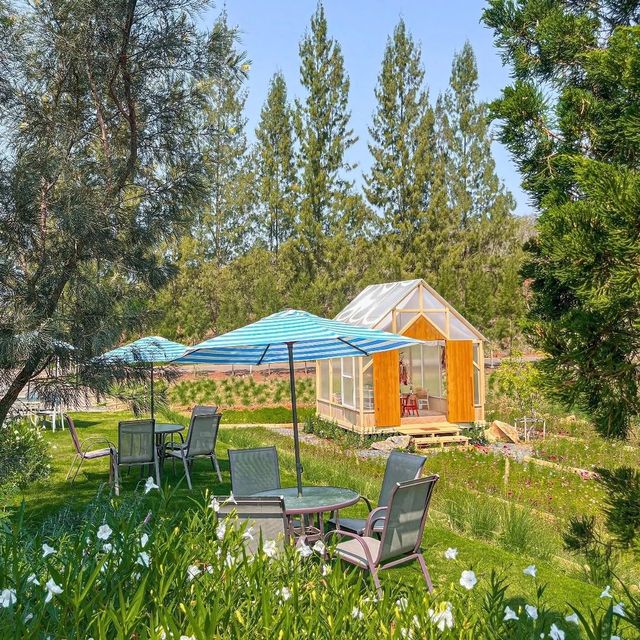 🏔 SOL Glamping Khaoyai พาร่างกายไปฮิลใจ