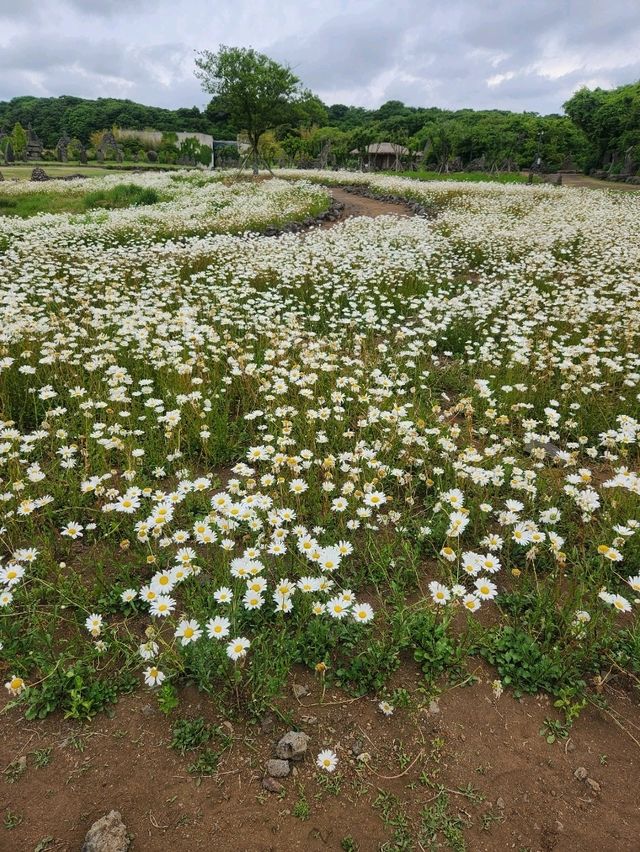 제주여행 가면 추천하고 싶은 돌문화공원
