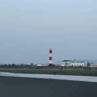 「大潭濕地公園」：觀鳥寶地