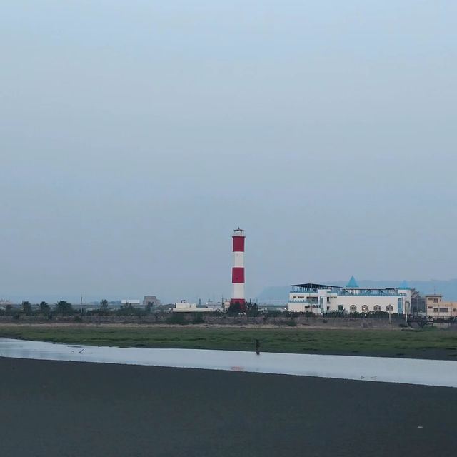 「大潭濕地公園」：觀鳥寶地