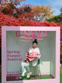 역대급 봄꽃축제 서부해당화가 아름다운 남미륵사🌸