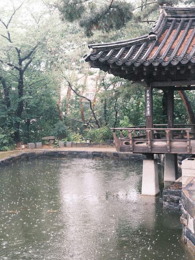 🍨⭒꙳ 정릉동 찻집 차담by 갤러리 더 스퀘어⛧