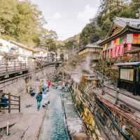 จังหวัดสุดชิวใกล้โอซาก้า นั่งรถไฟแมวสุดน่ารัก 
