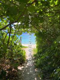 【奄美】南国！フォトジェニック崎原海岸（さきばるかいがん）
