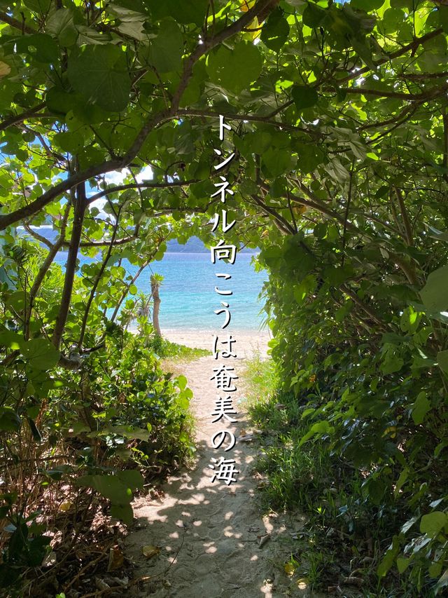 【奄美】南国！フォトジェニック崎原海岸（さきばるかいがん）