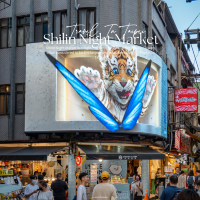 Shilin Night Market  