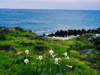 Takasu Beach