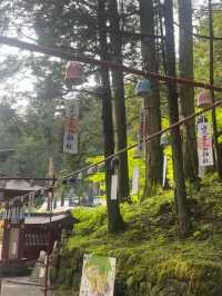 【栃木/日光】夏の「二荒山神社」⛩️🎐
