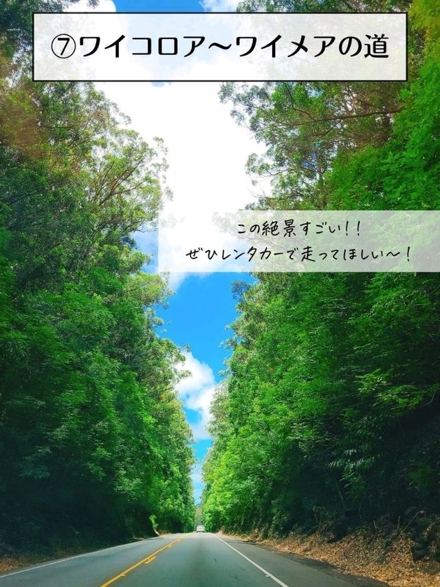 【ハワイ島】1度は行きたいハワイ島のおすすめスポット7選