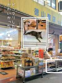 【大阪】韓国気分を味わえる大阪、鶴橋駅『鶴橋商店街』