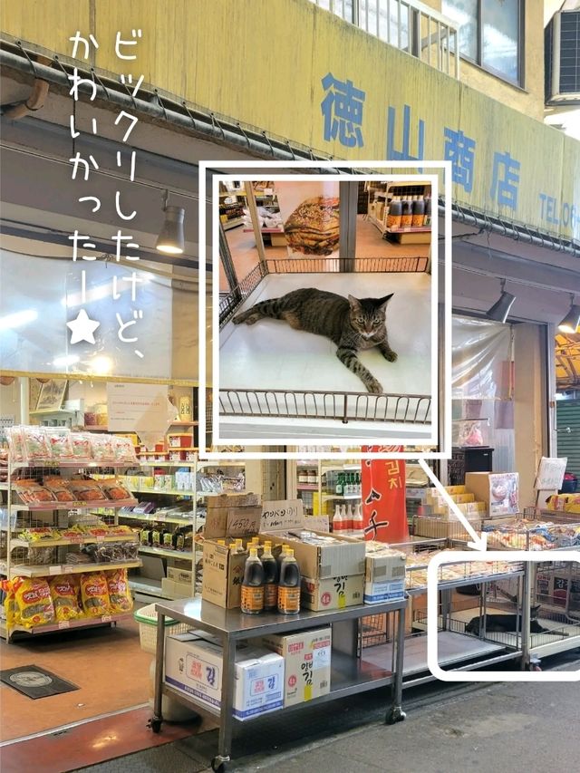 【大阪】韓国気分を味わえる大阪、鶴橋駅『鶴橋商店街』