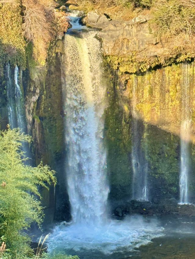 〜静岡県〜絶景すぎる白糸の滝！