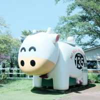 【千葉】関東のひまわり畑に行くなら「成田ゆめ牧場」へ🐮