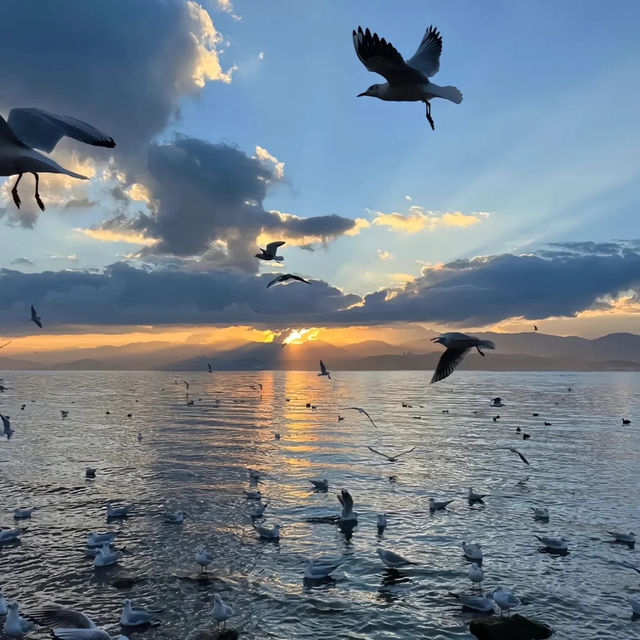 小涉湖：絕佳湖景