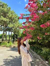 아름다운 꽃을 바라보며 산책하기 좋은 전주수목원🌸