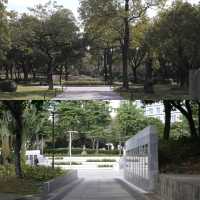 「國立臺灣美術館外大草坪」- 放鬆休息、裝置藝術、綠意陽光，享受美術文化