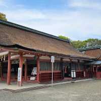 日本神社漫走，莊嚴肅穆的津島神社。