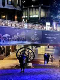 Harry potter experience
