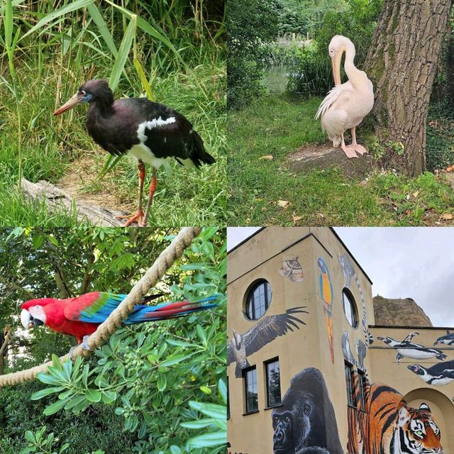 倫敦動物園：保存完好、有趣圍欄，豐富資訊