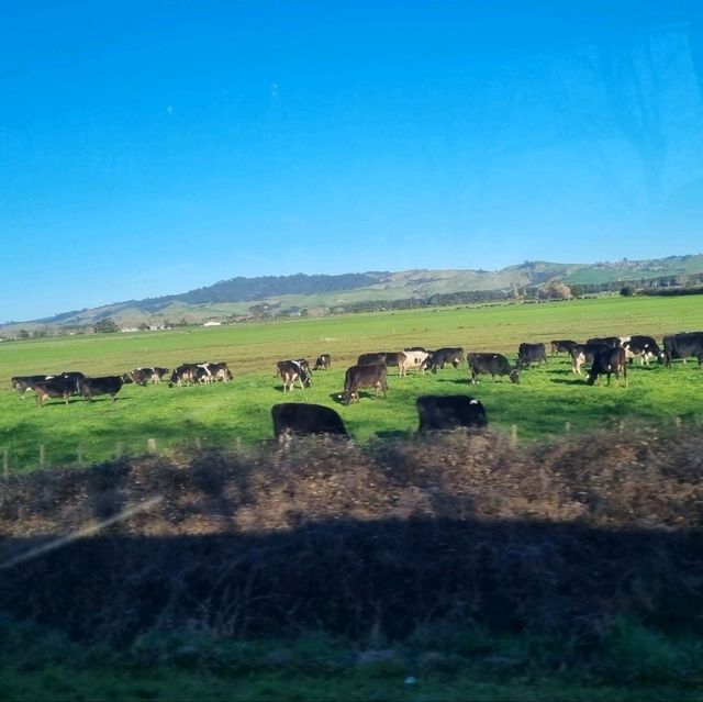 Auckland, New Zealand