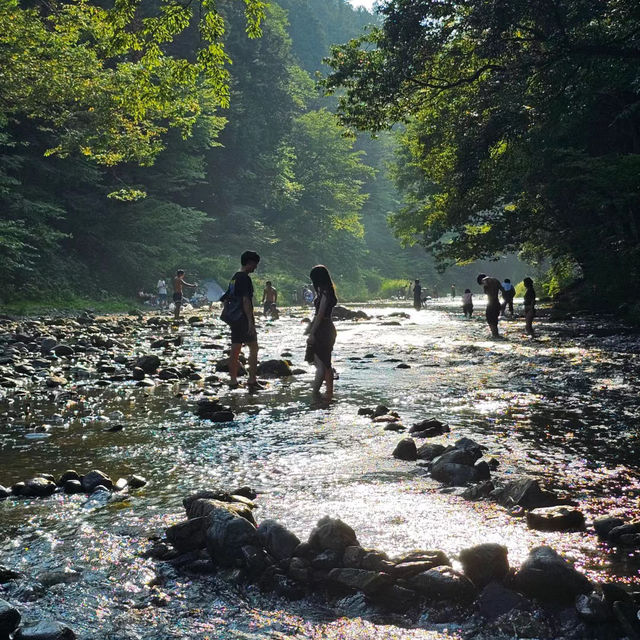 「等等力溪谷公園～感受大自然的壯闊」