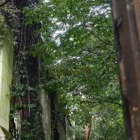 An urban oasis where nature meets history – discover London’s secret garden at St. Dunstan-in-the-Ea