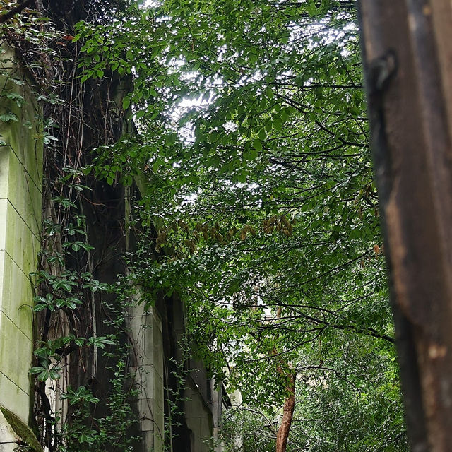 An urban oasis where nature meets history – discover London’s secret garden at St. Dunstan-in-the-Ea
