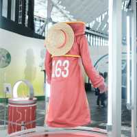 【東京】期間限定✨ワンピースの世界観に入れる「ONEPIECE EMOTION」