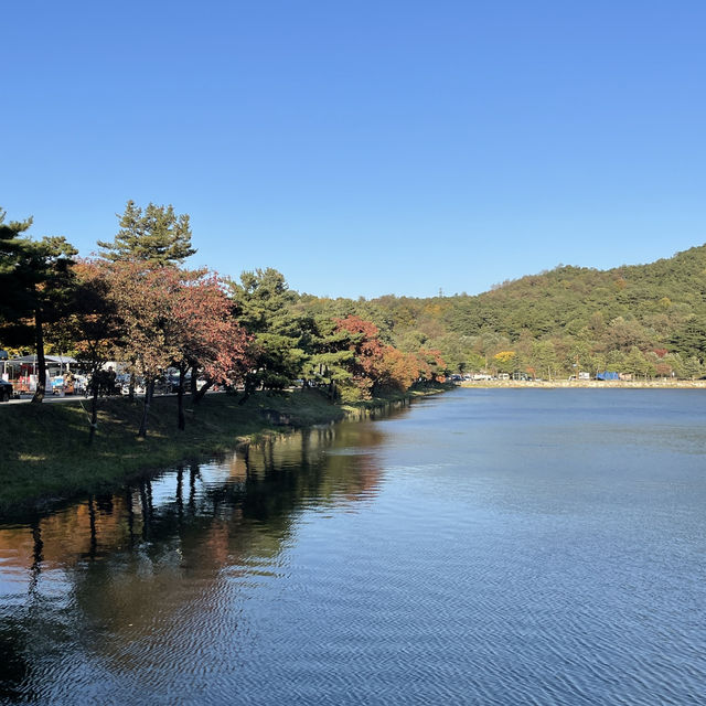 단풍보면서 인피니티풀에서 수영하기🏊🏻‍♀️🏊