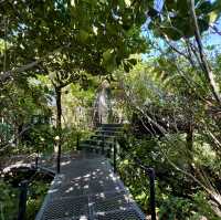 The For Rest Café