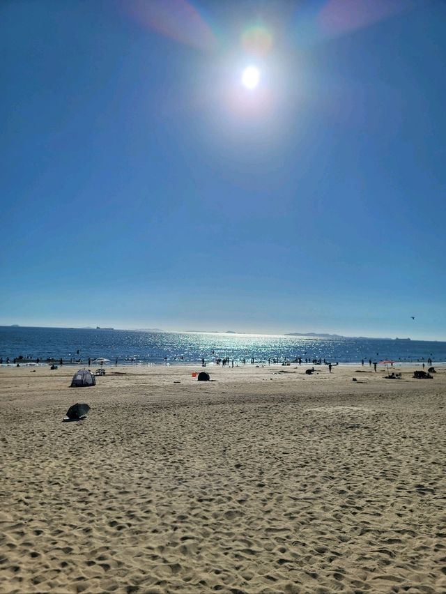 머드축제로 핫한 보령 대천해수욕장🏖