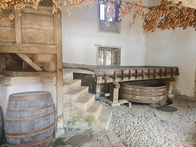 Stepping into History: Lacock Abbey's Enchanted Realm